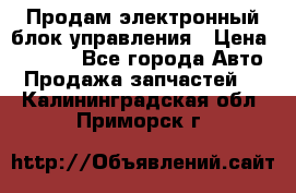 Продам электронный блок управления › Цена ­ 7 000 - Все города Авто » Продажа запчастей   . Калининградская обл.,Приморск г.